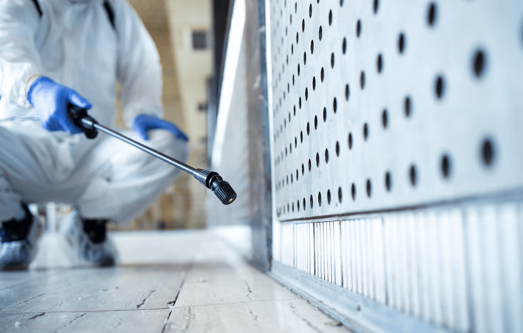Stop Mold Before It Spreads – Baltimore’s Professional Testing Experts