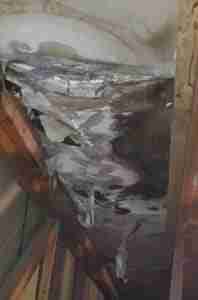 https://dynamichomeinspections.com/wp-content/uploads/2026/07/Mold-Pic-Cropped-198x300-1.jpg