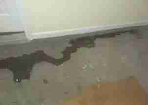 https://dynamichomeinspections.com/wp-content/uploads/2026/07/Water-Leaking.jpg