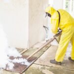 Why Is a Professional Mold Inspection More Reliable Than a Visual Property Assessment?