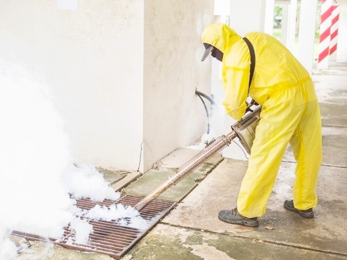 Why Is a Professional Mold Inspection More Reliable Than a Visual Property Assessment?