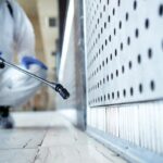Can Mold Testing Identify Hidden Moisture Problems Inside a Home?